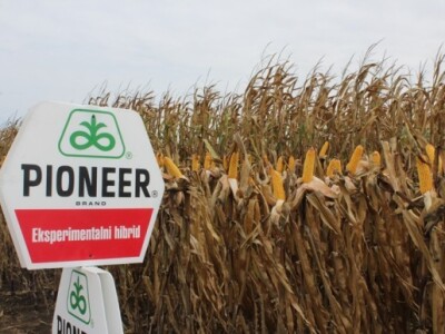 Predstavljeni i eksperimentalni hibridi