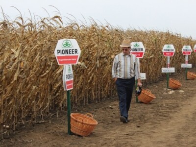 Da vidimo, što ima u košarama?