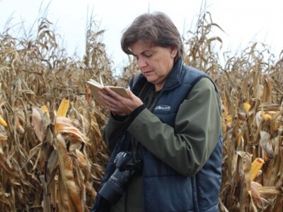 Roberta Sorić, Agroglas