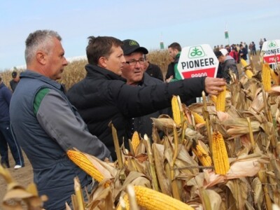 Pregled kvalitete hibrida