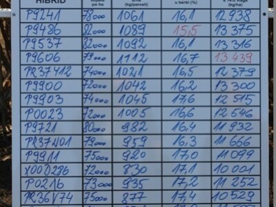 Rezultati za prezentirane hibride