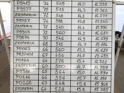 Dan polja kukuruza Pioneer u Španatu