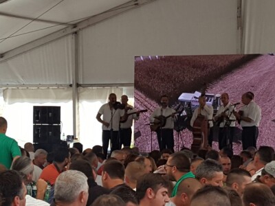 Pioneer Hi-Bred SRB muzika