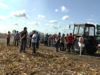 Okupljeni na Danu polja u Buđanovcima