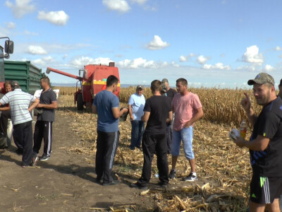 Regionalni dan polja Pioneer