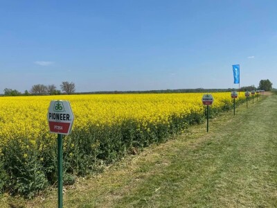 Pioneer repica kod Ostrihona