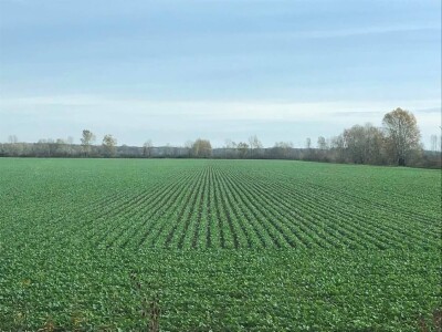 Pioneer repica kod Ostrihona