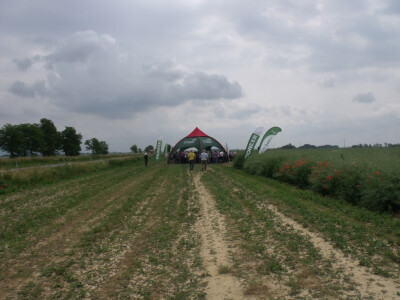 Pioneer uljana repica