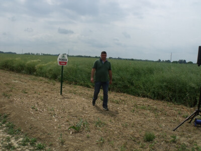 Pioneer uljana repica