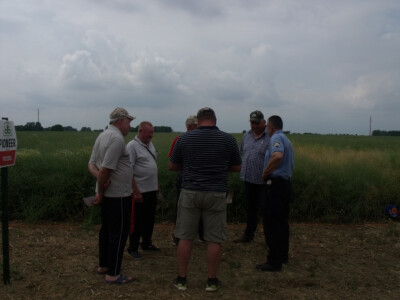 Pioneer uljana repica