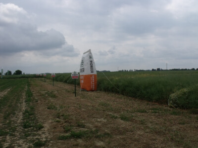 Pioneer uljana repica