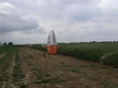 Pioneer uljana repica