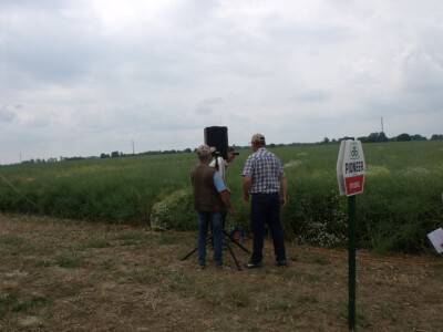 Pioneer uljana repica