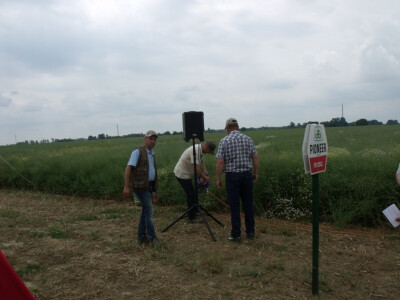 Pioneer uljana repica