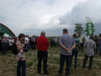 Pioneer uljana repica