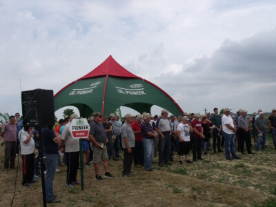 Pioneer uljana repica