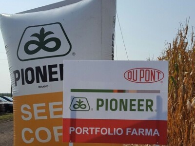 Pioneer Hi-Bred SRB vreća