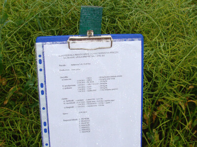 Dupont Pioneer Dan polja uljane repice