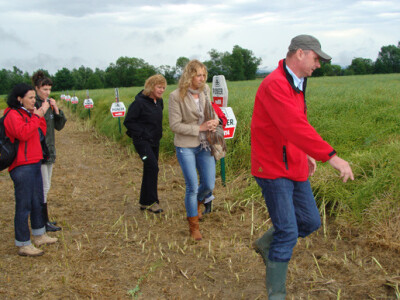 Dupont Pioneer Dan polja uljane repice