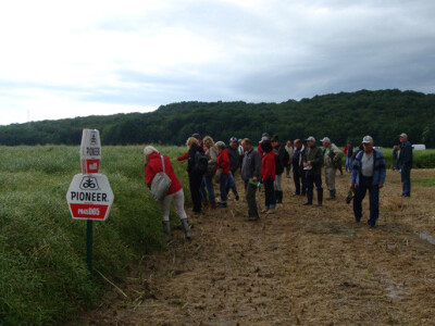 Dupont Pioneer Dan polja uljane repice