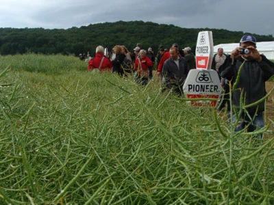 Dupont Pioneer Dan polja uljane repice