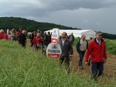 Dupont Pioneer Dan polja uljane repice