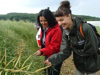 Dupont Pioneer Dan polja uljane repice