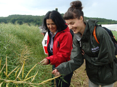 Dupont Pioneer Dan polja uljane repice