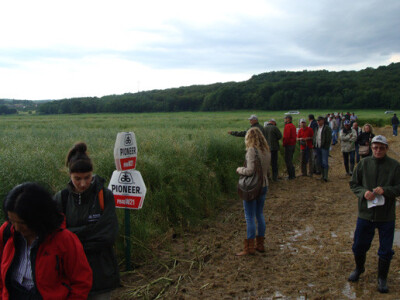 Dupont Pioneer Dan polja uljane repice