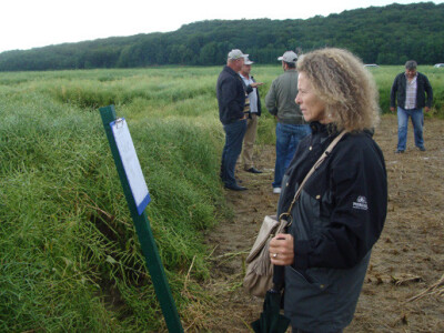 Dupont Pioneer Dan polja uljane repice