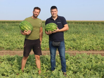 Pipelife sistem za navodnjavanje u Despotovu i Deronjama