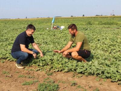 Pipelife sistem za navodnjavanje u Despotovu i Deronjama