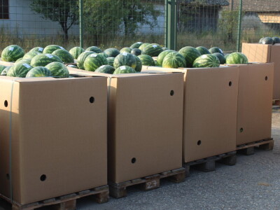 Pipelife sistem za navodnjavanje u Despotovu i Deronjama