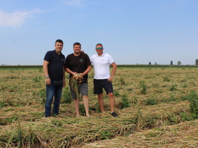 Pipelife sistem za navodnjavanje u Despotovu i Deronjama