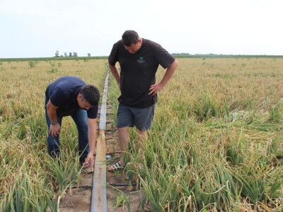Pipelife sistem za navodnjavanje u Despotovu i Deronjama