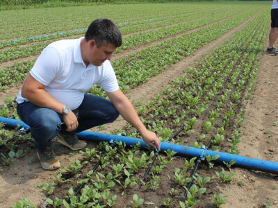 Pipelife sistem za navodnjavanje u Silbašu i Gospođincima