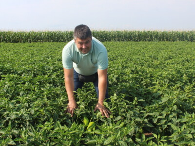 Pipelife sistem za navodnjavanje u Silbašu i Gospođincima