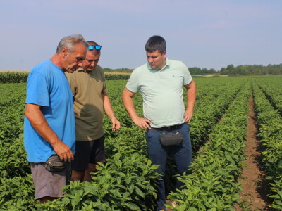 Pipelife sistem za navodnjavanje u Silbašu i Gospođincima