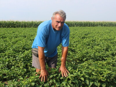 Pipelife sistem za navodnjavanje u Silbašu i Gospođincima