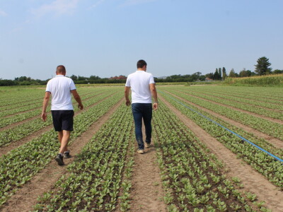 Pipelife sistem za navodnjavanje u Silbašu i Gospođincima