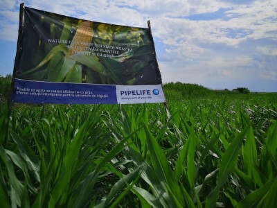 Pipelife u Rumuniji