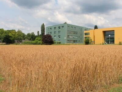 Pir na Agronomskom fakultetu Pir na Agronomskom fakultetu
