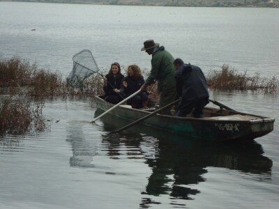 Invazivne vrste riba Invazivne vrste riba