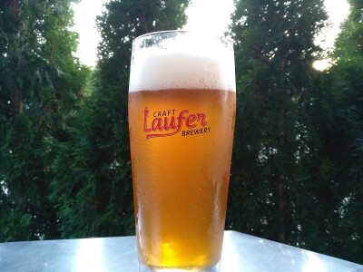 Pivo Laufer