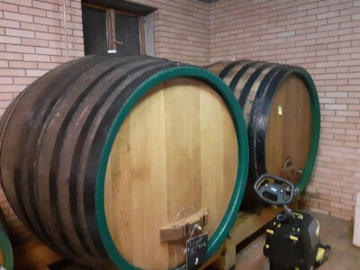 Pjenušci sa Plešivice