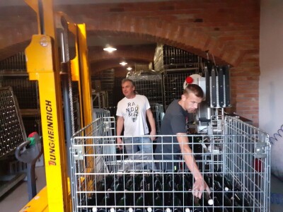 Pjenušci sa Plešivice