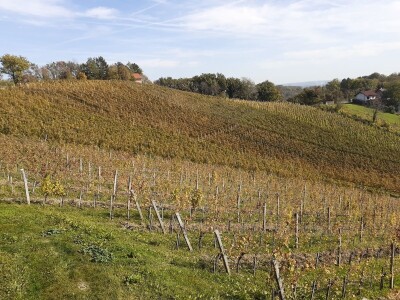 Pjenušci sa Plešivice