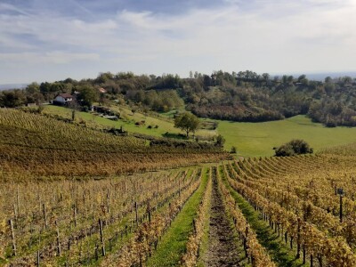 Pjenušci sa Plešivice