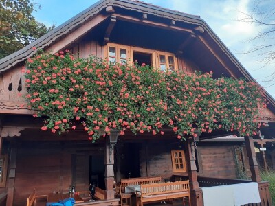 Pjenušci sa Plešivice