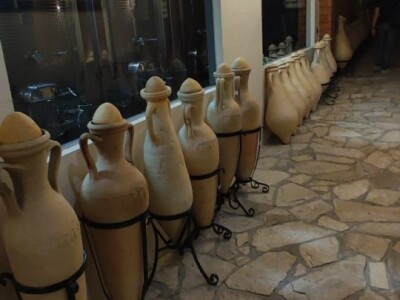 Plamenjača uništava pelješko vinogorje Plamenjača uništava pelješko vinogorje